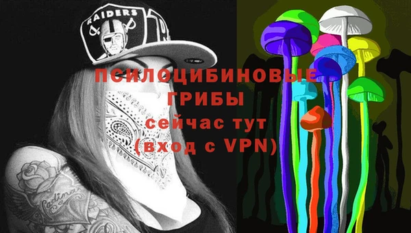МДПВ Осташков